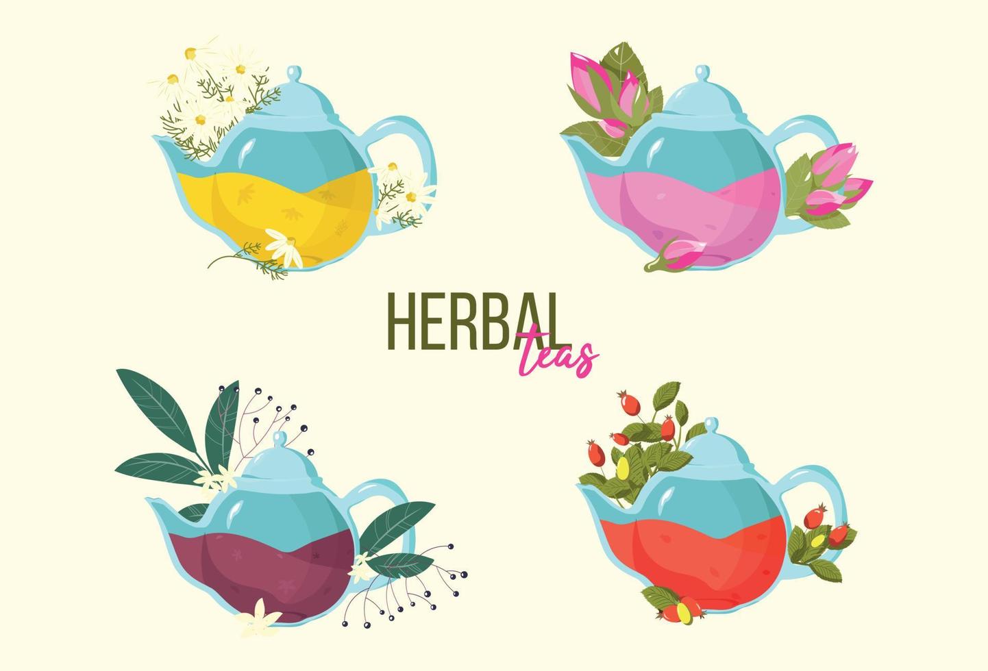 Herbal Tea Set. Vector illustration of teapot with briar berry and chamomile flowers tea. Drink of elderberries and rosebuds. Drawing of tea for packaging or advertising