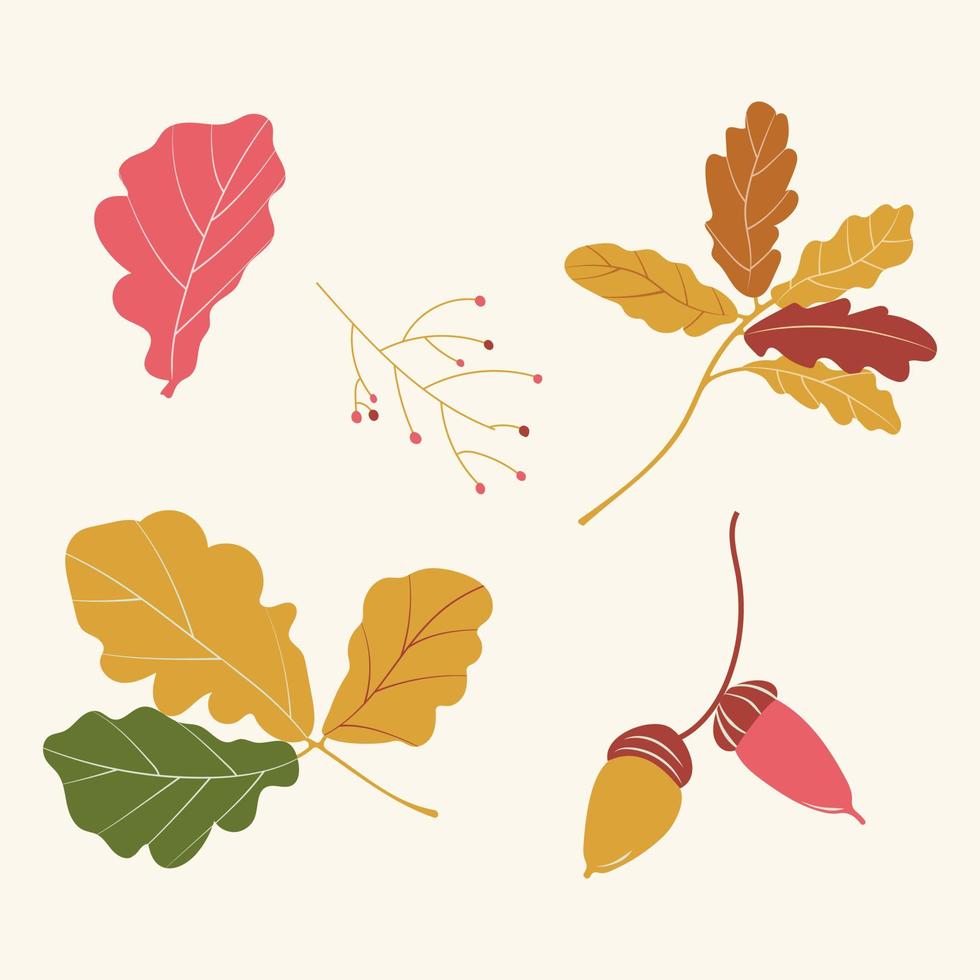 un conjunto de hojas de otoño. hojas amarillas y verdes y bellotas marrones y rosadas. ilustraciones vectoriales para el otoño para el diseño vector