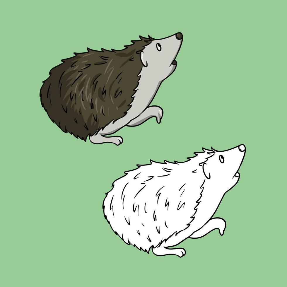 A set of images, Cute brown little hedgehog looking up, side view, vector illustration in cartoon style on a colored background