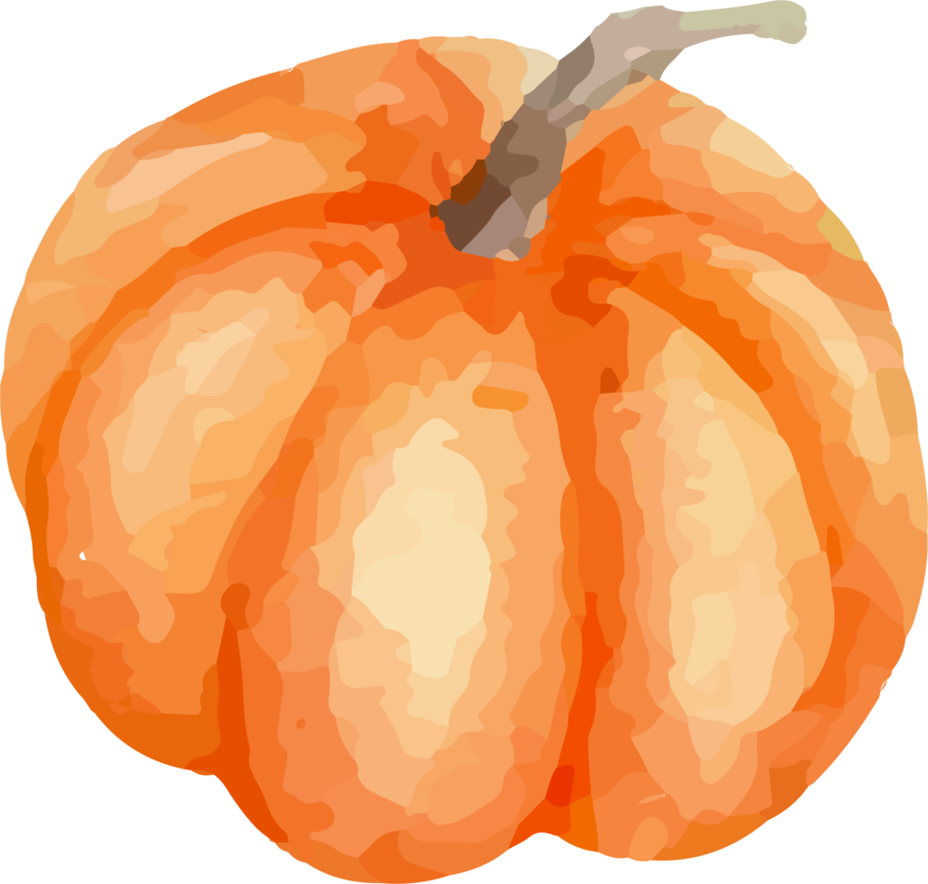 Pumpkin painted in watercolor. png