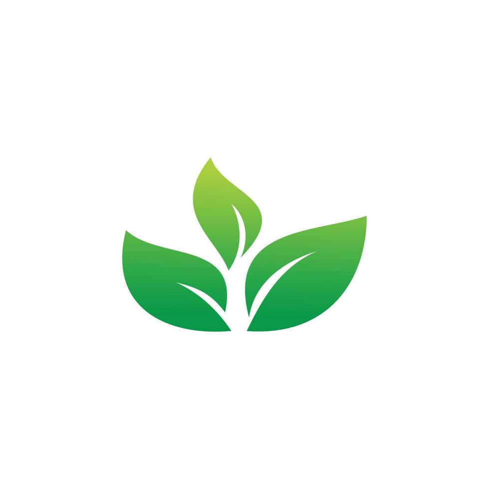 green nature leaf logo design vector