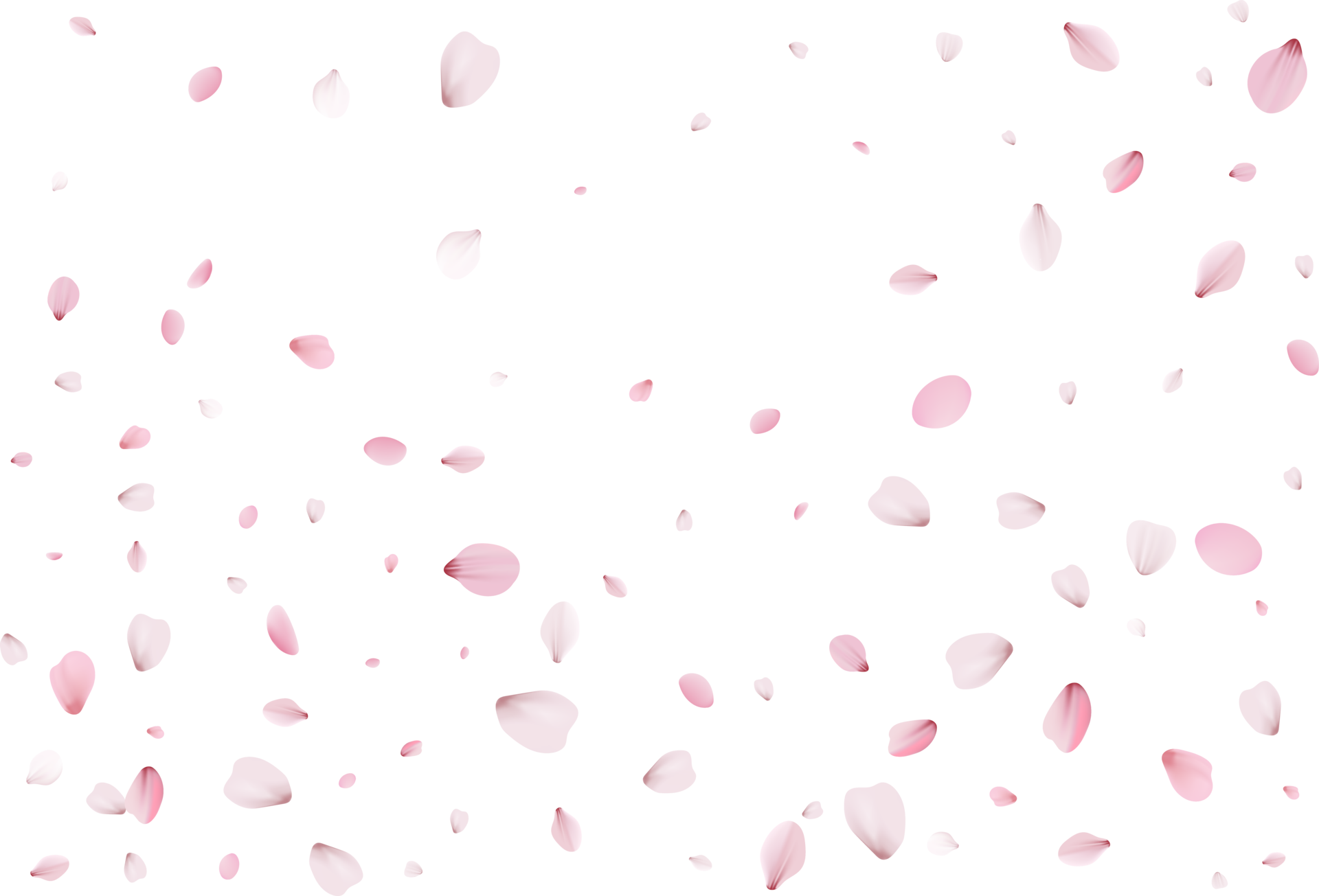 flying-flower-petals-11236092-png