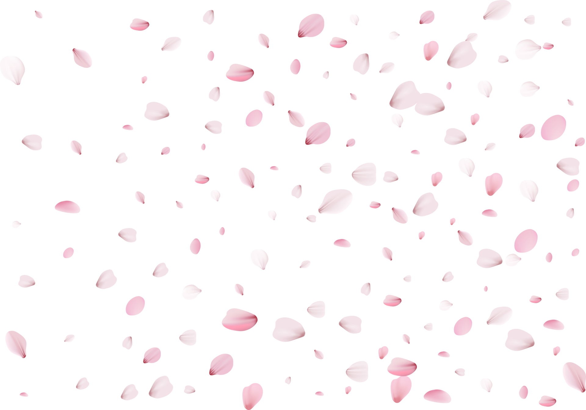Flying flower petals. 11236095 PNG