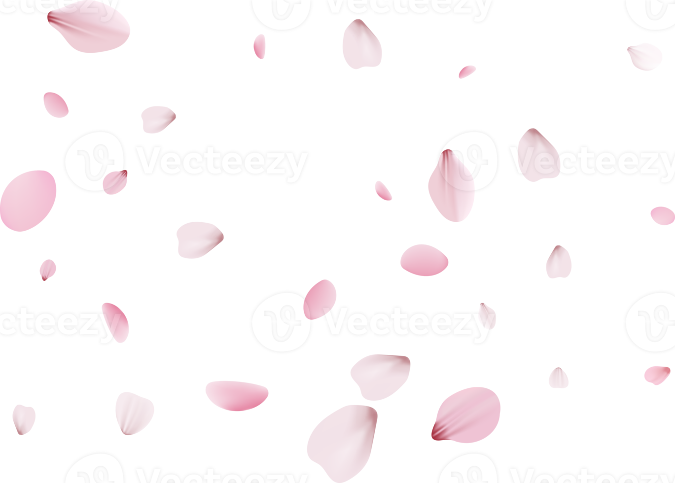 pétales de sakura roses. png