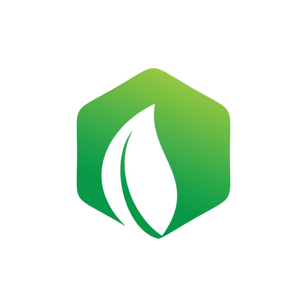 hexagon green leaf logo design vector