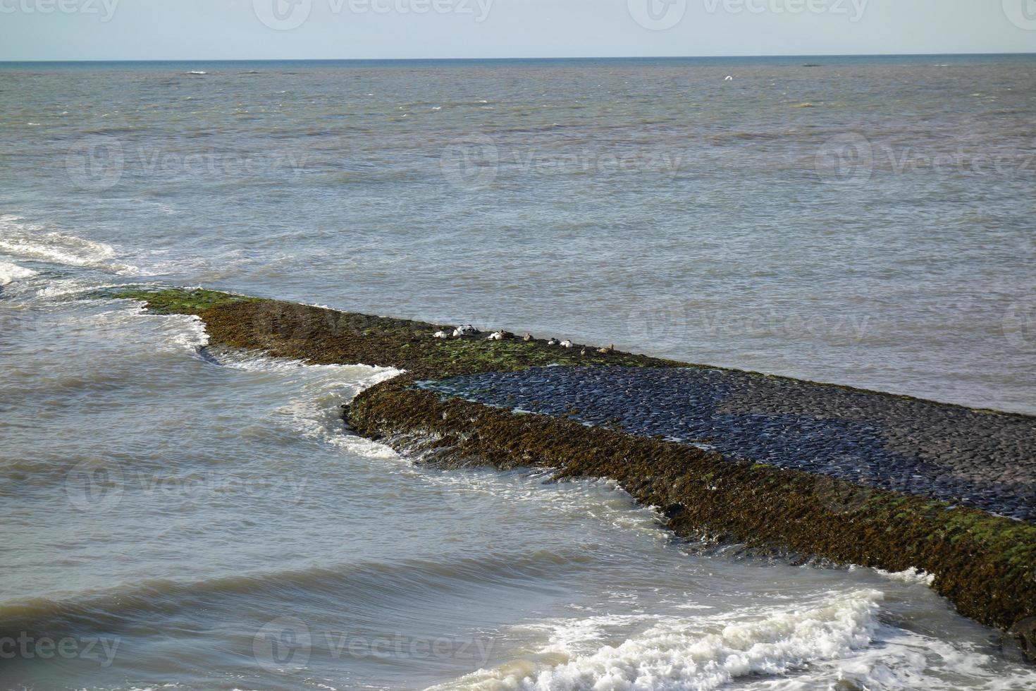 la isla de baltrum foto