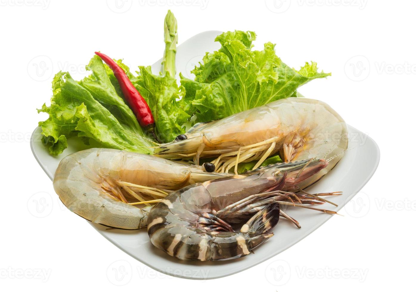 King and waterleg shrimps photo