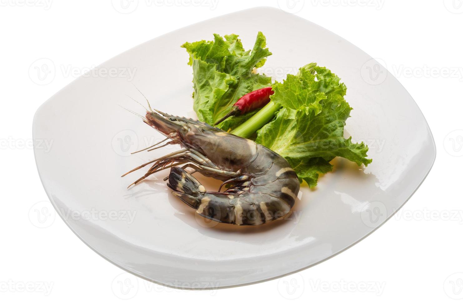 langostino tigre en el plato y fondo blanco foto