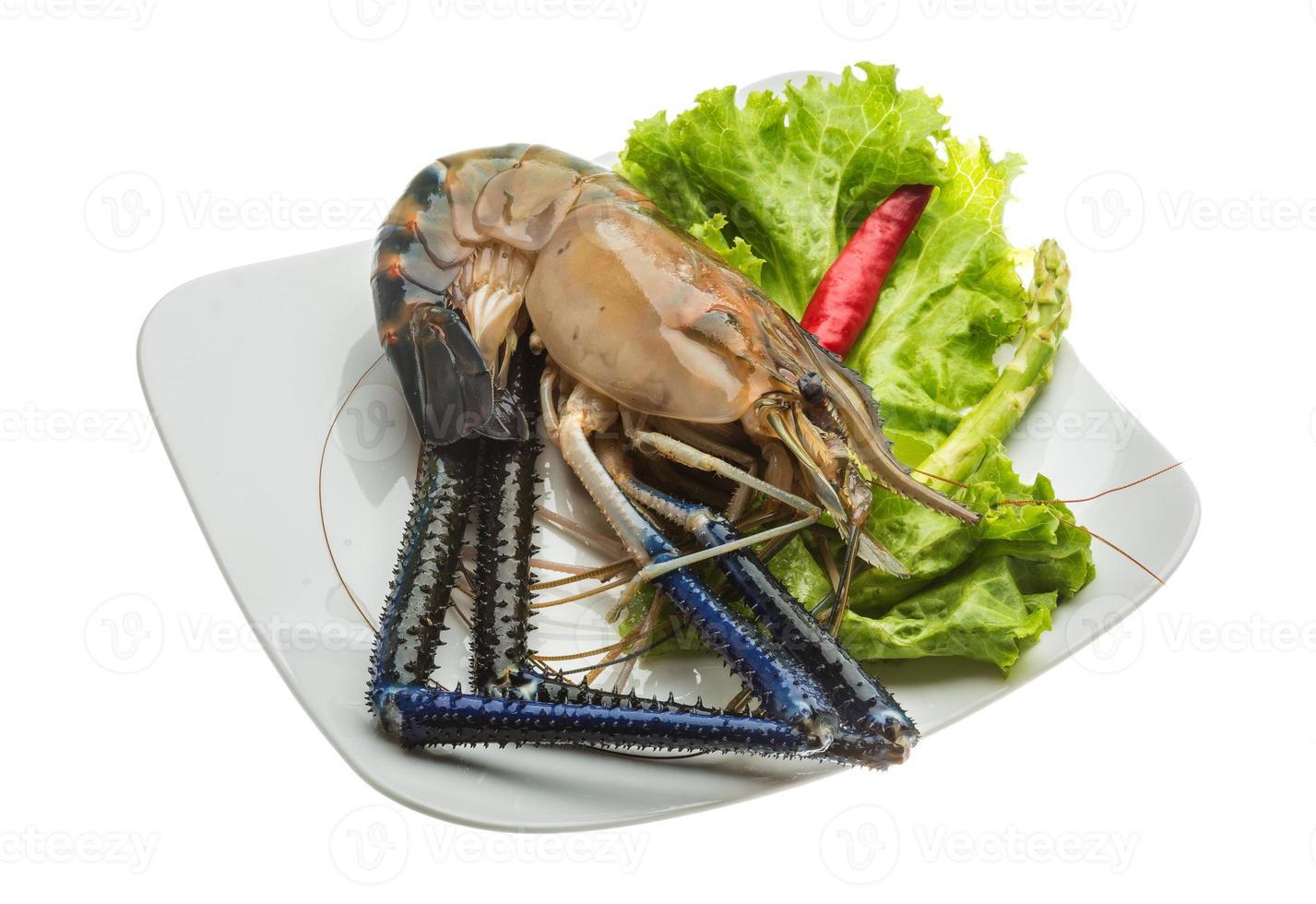 Freshwater prawn on the plate and white background photo