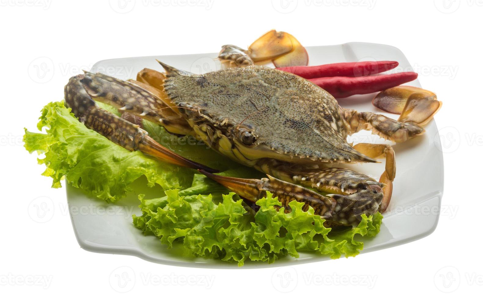 Raw crab on the plate and white background photo