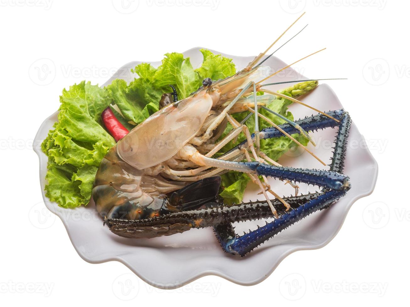 Freshwater prawn on the plate and white background photo