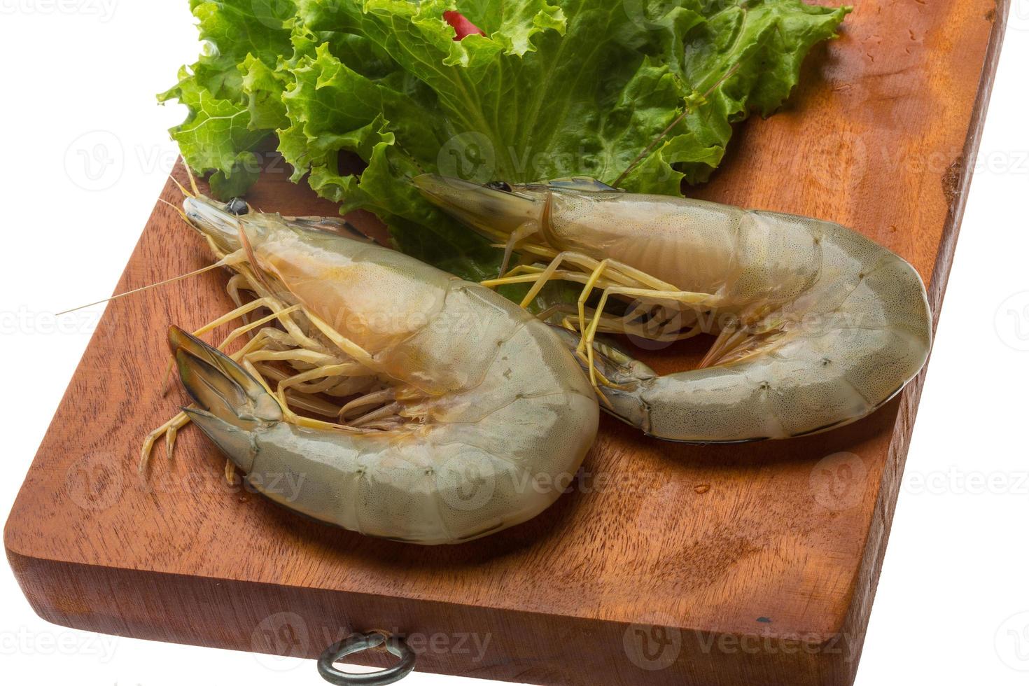 Tiger prawn on wooden board and white background photo