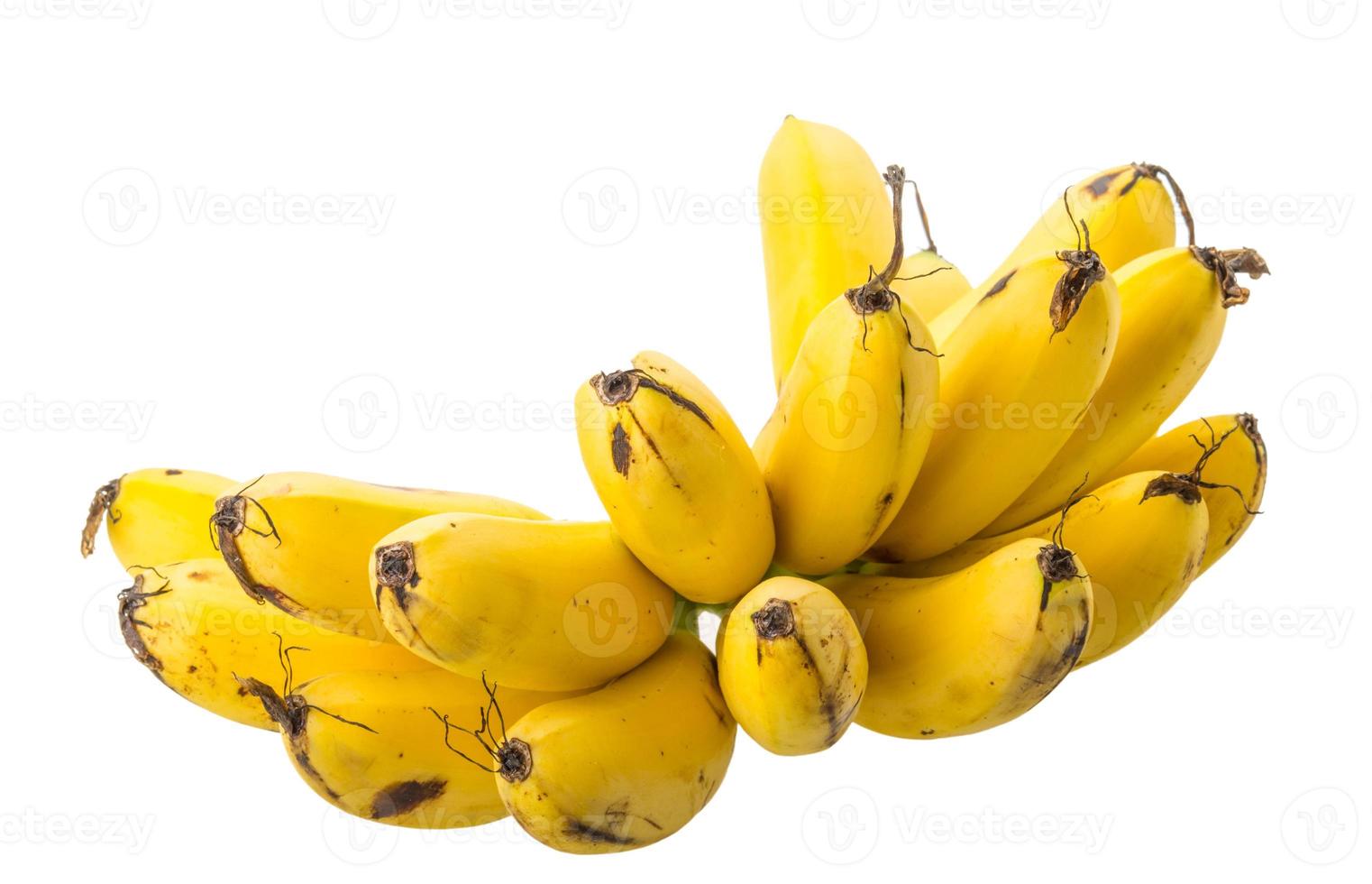 Baby banana on white background photo