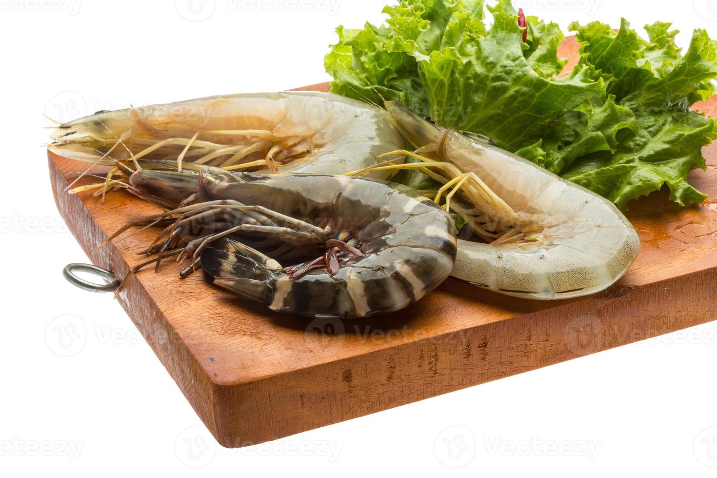 Tiger prawn on wooden board and white background photo