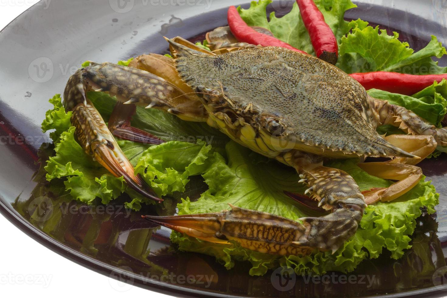 Raw crab on the plate close up view photo