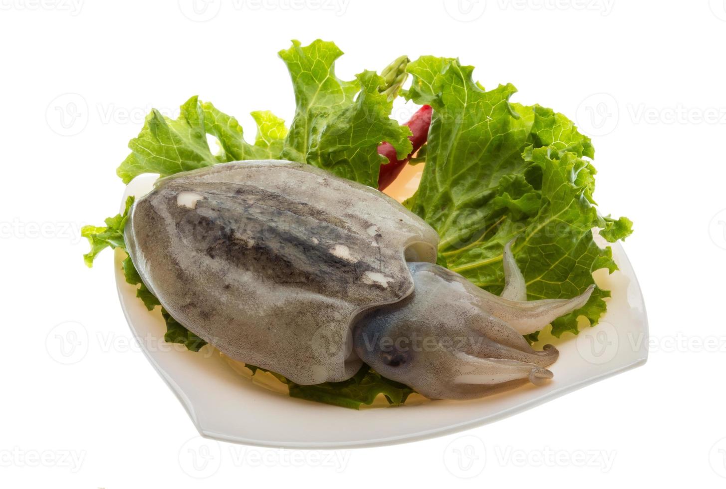 Raw cuttlefish on the plate and white background photo