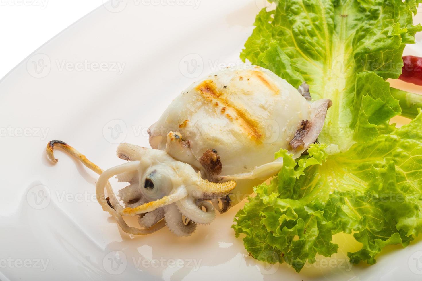 Grilled cuttlefish on the plate photo