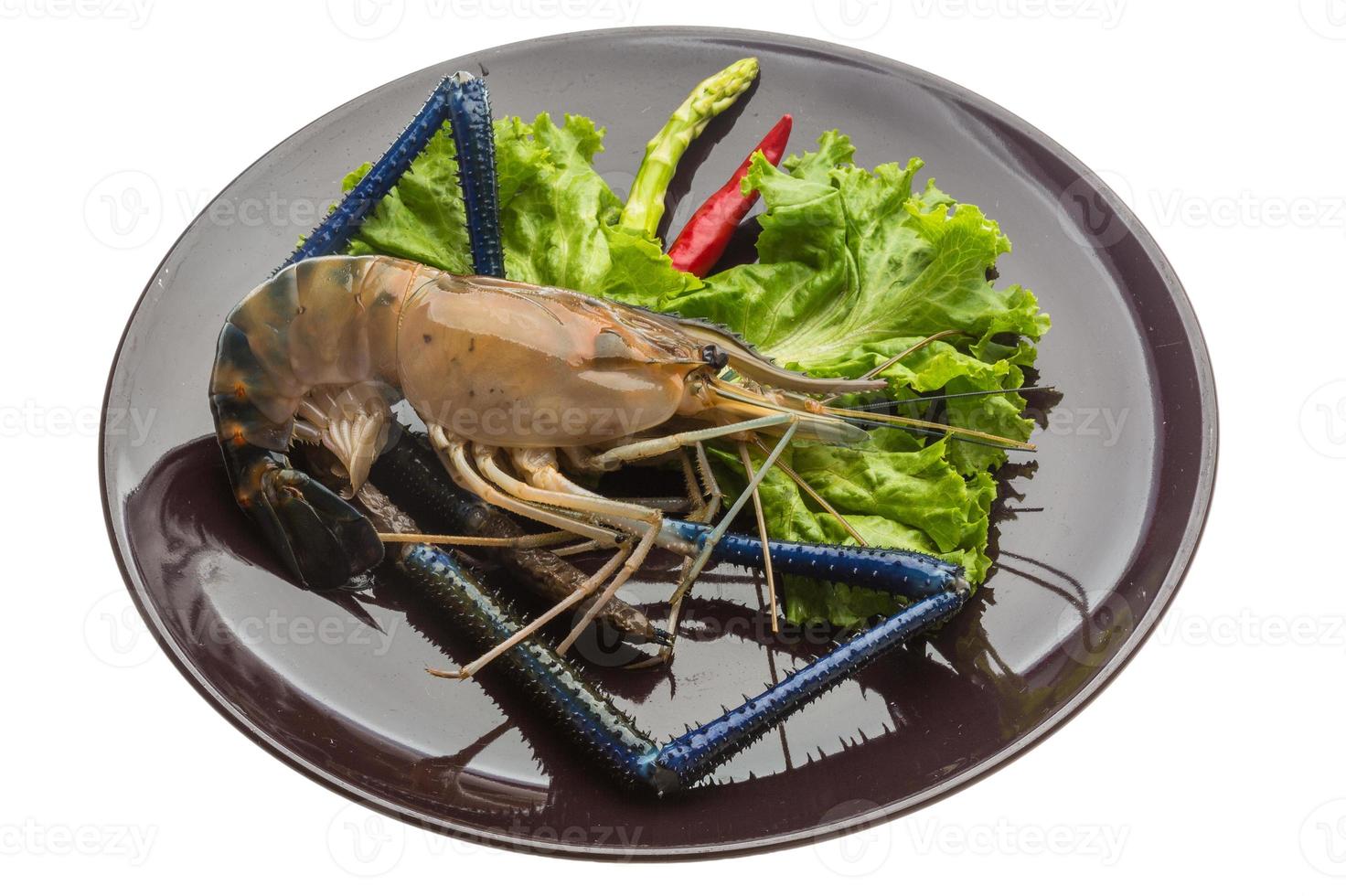 Freshwater prawn on the plate and white background photo