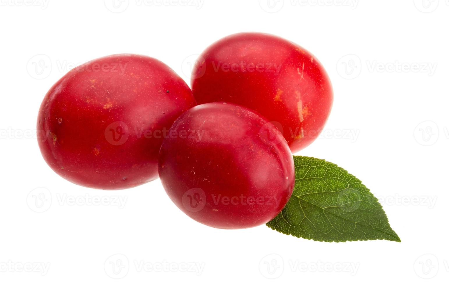 Damson plum on white background photo