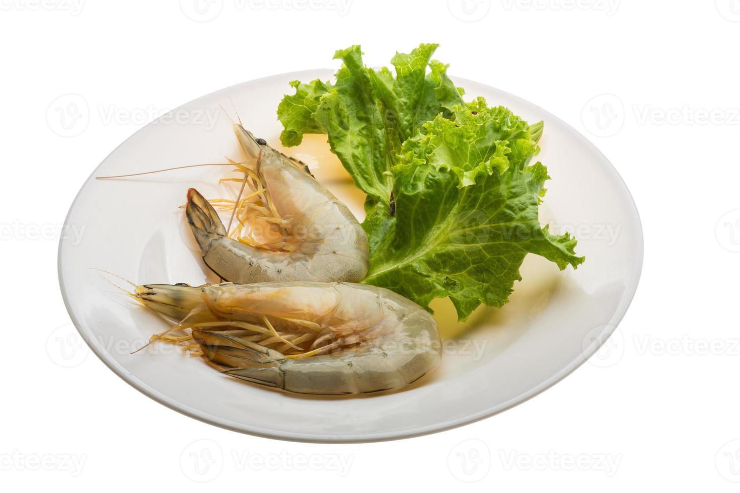 Tiger prawn on the plate and white background photo