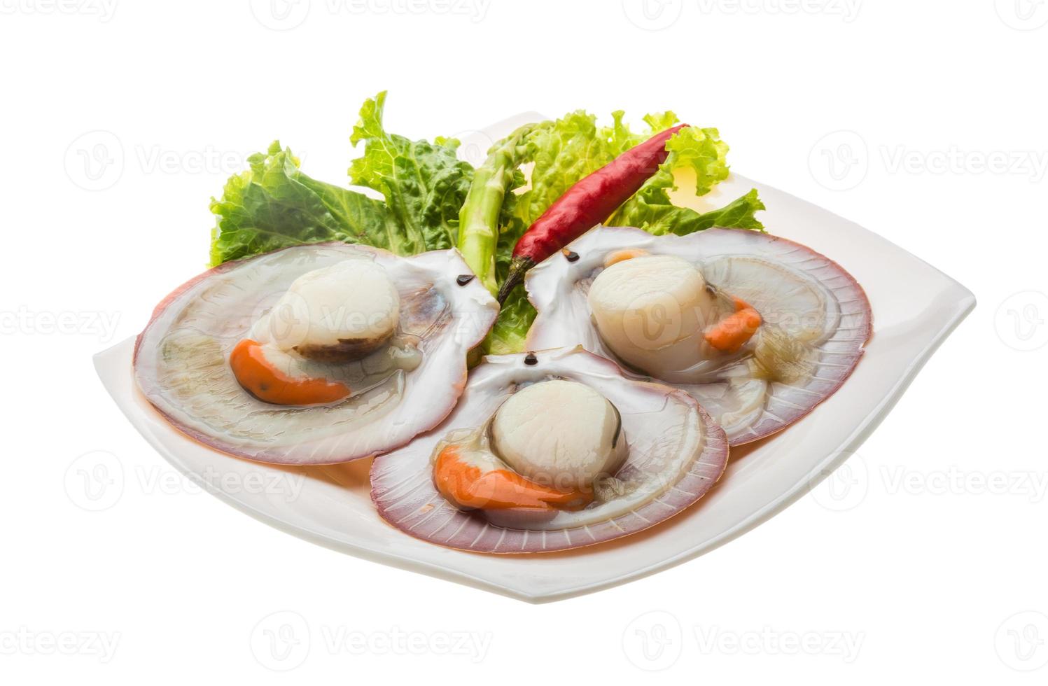 Raw fresh scallop photo