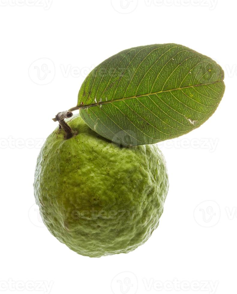 Guava on white background photo