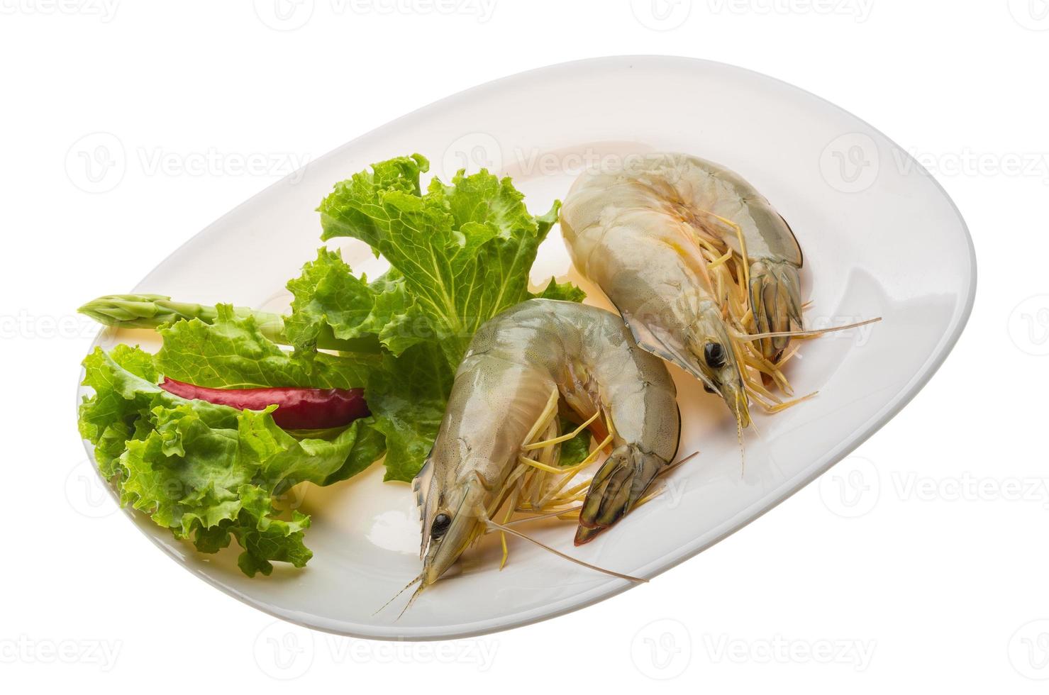 Tiger prawn on the plate and white background photo