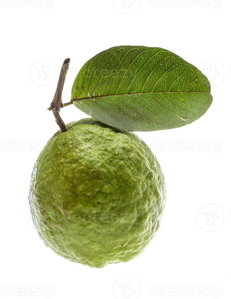 guayaba sobre fondo blanco foto