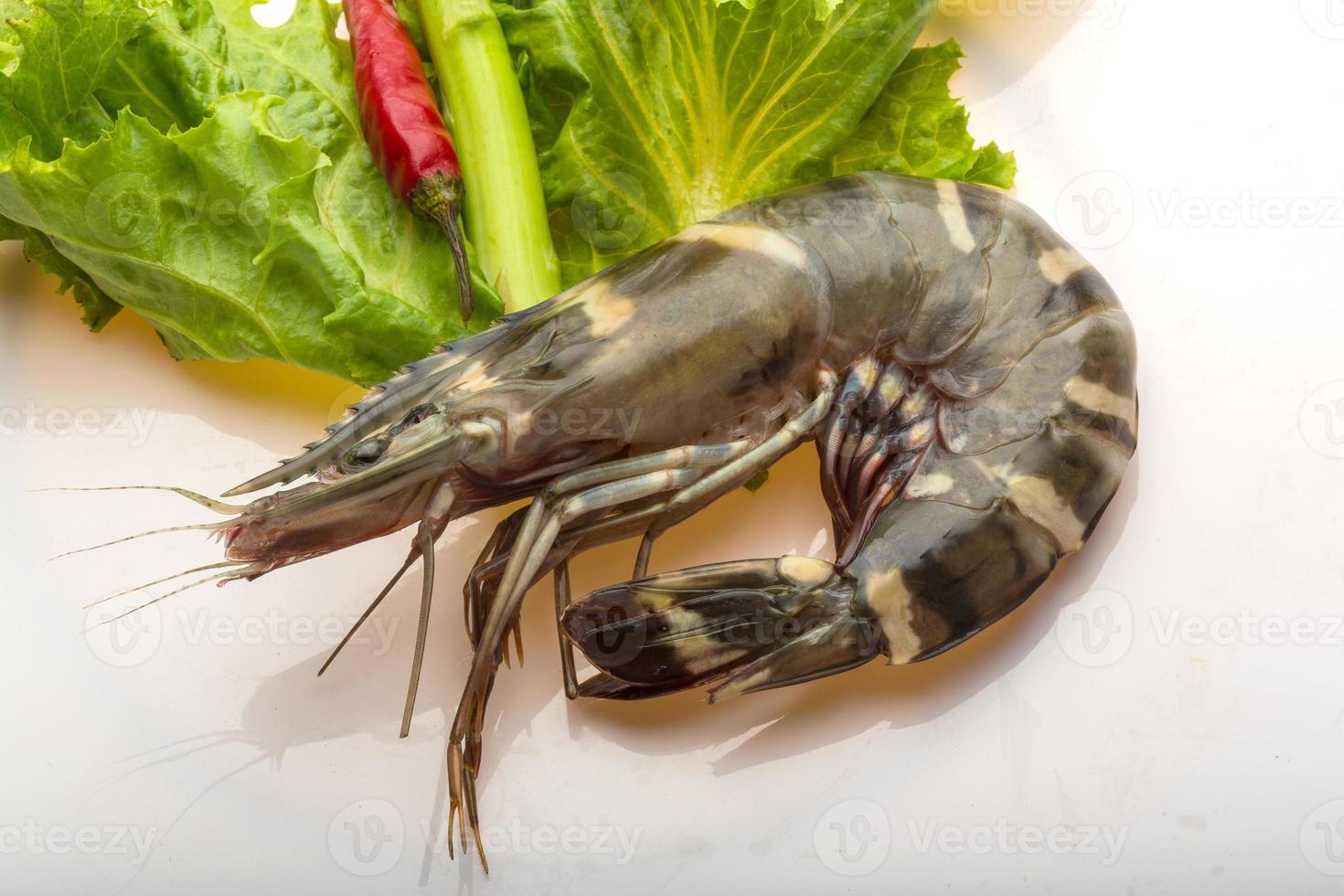 Tiger prawn on the plate photo