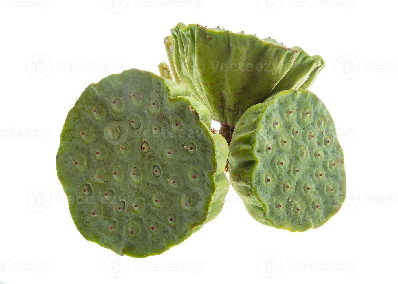 Lotus seeds on white background photo