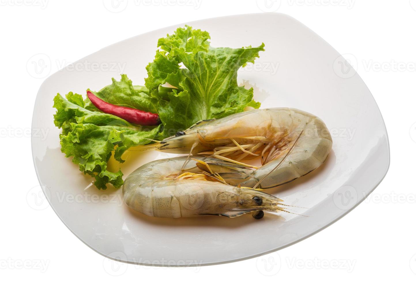 Tiger prawn on the plate and white background photo