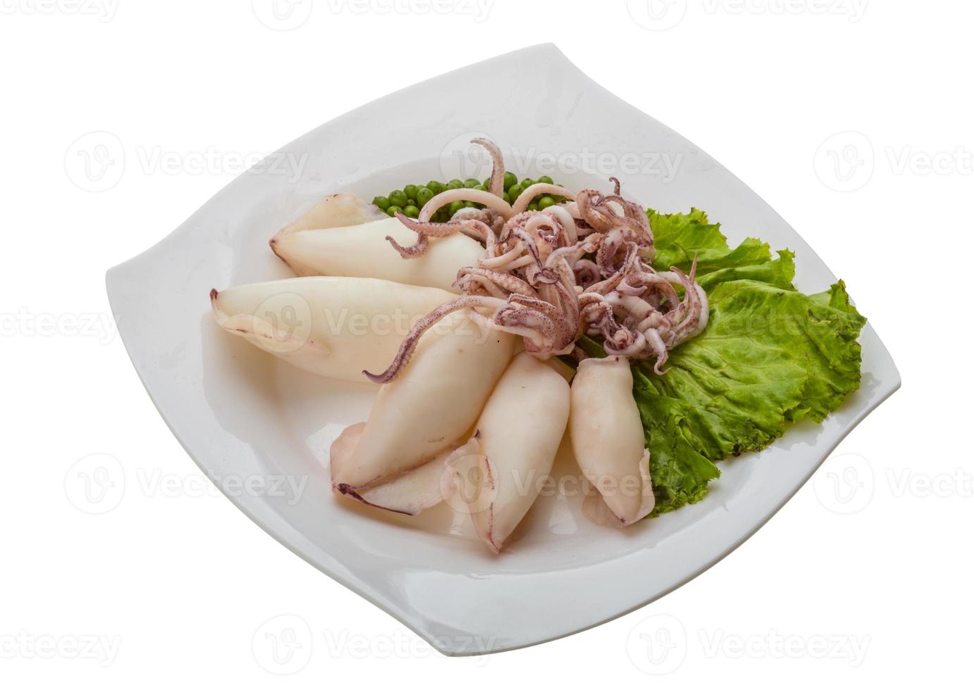 Boiled squid on the plate and white background photo
