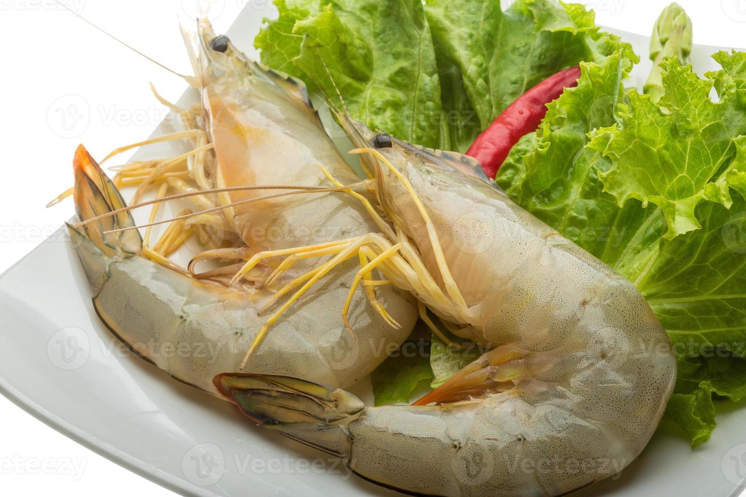 Tiger prawn on the plate and white background photo