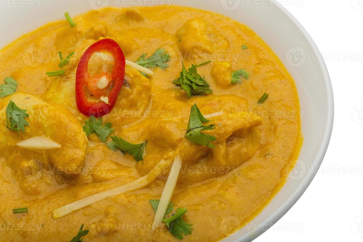 Chicken Korma in a bowl photo