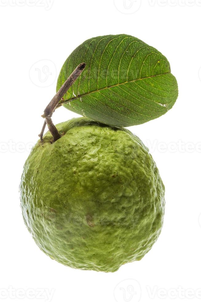 guayaba sobre fondo blanco foto