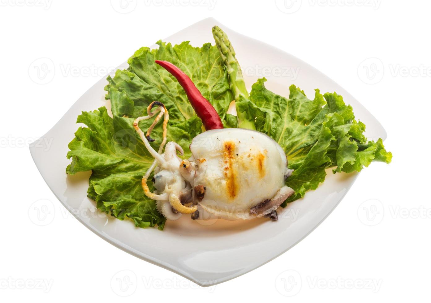 Grilled cuttlefish on the plate and white background photo