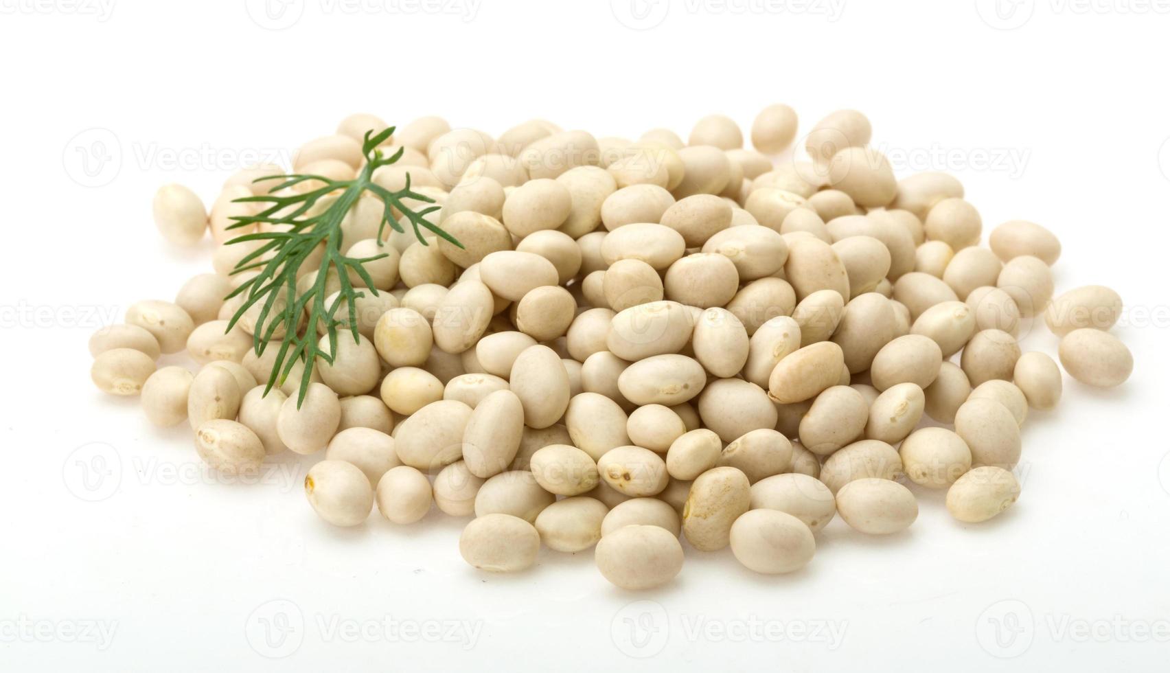 White dry beans photo