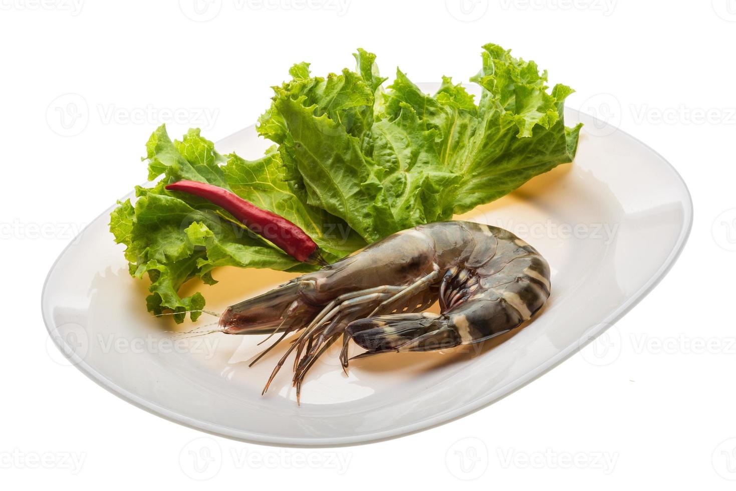 Tiger prawn on the plate and white background photo