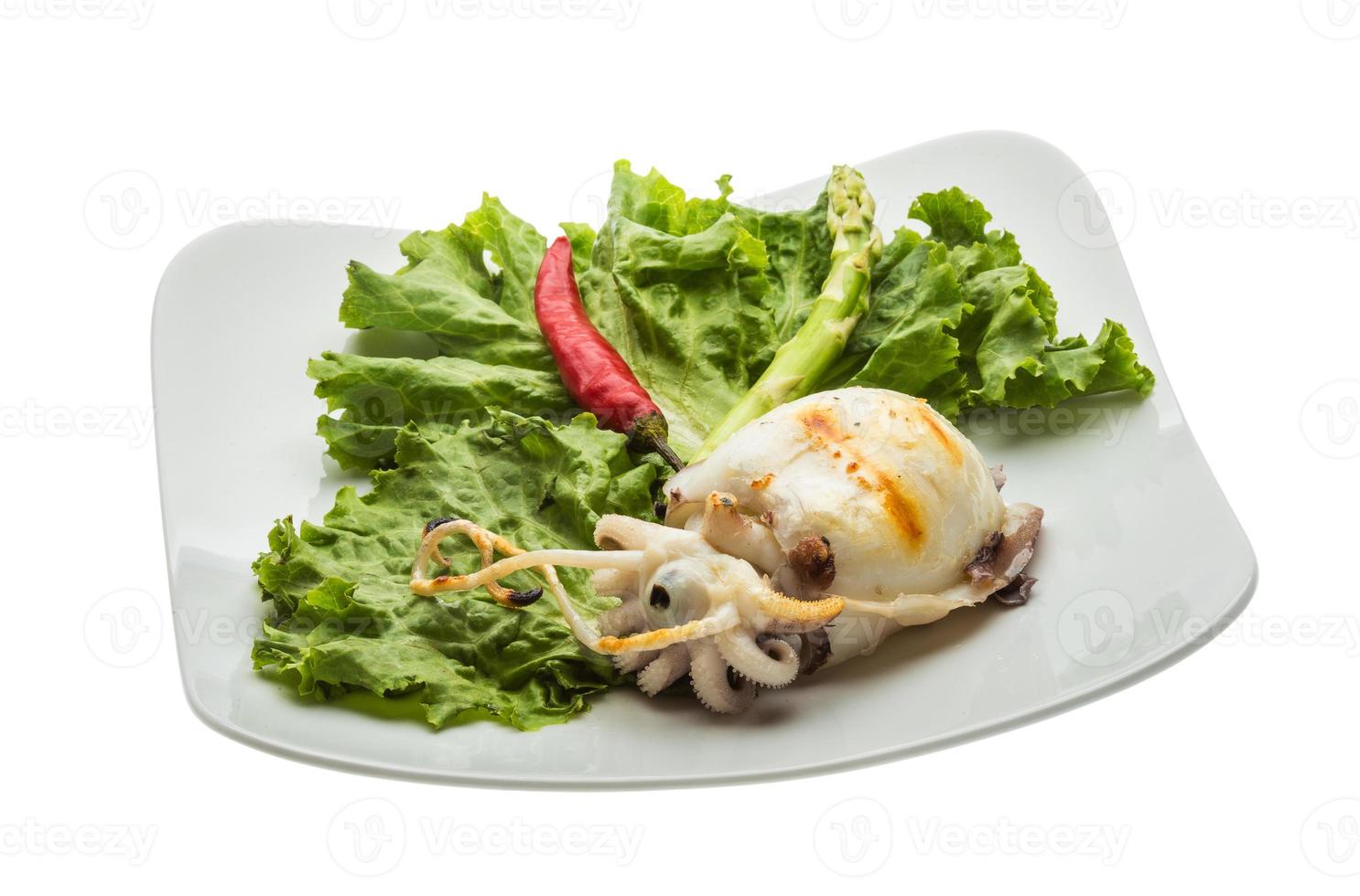 Grilled cuttlefish on the plate and white background photo