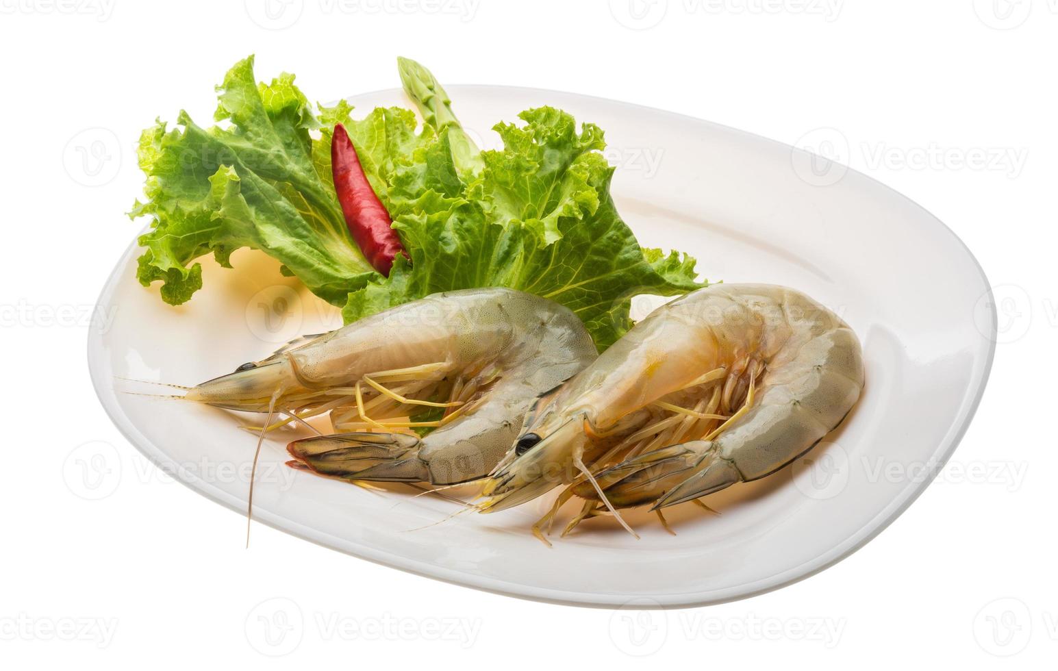 Tiger prawn on the plate and white background photo