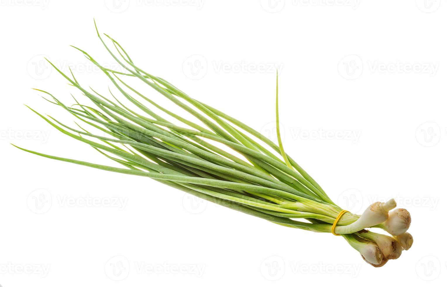 Green onion on white background photo