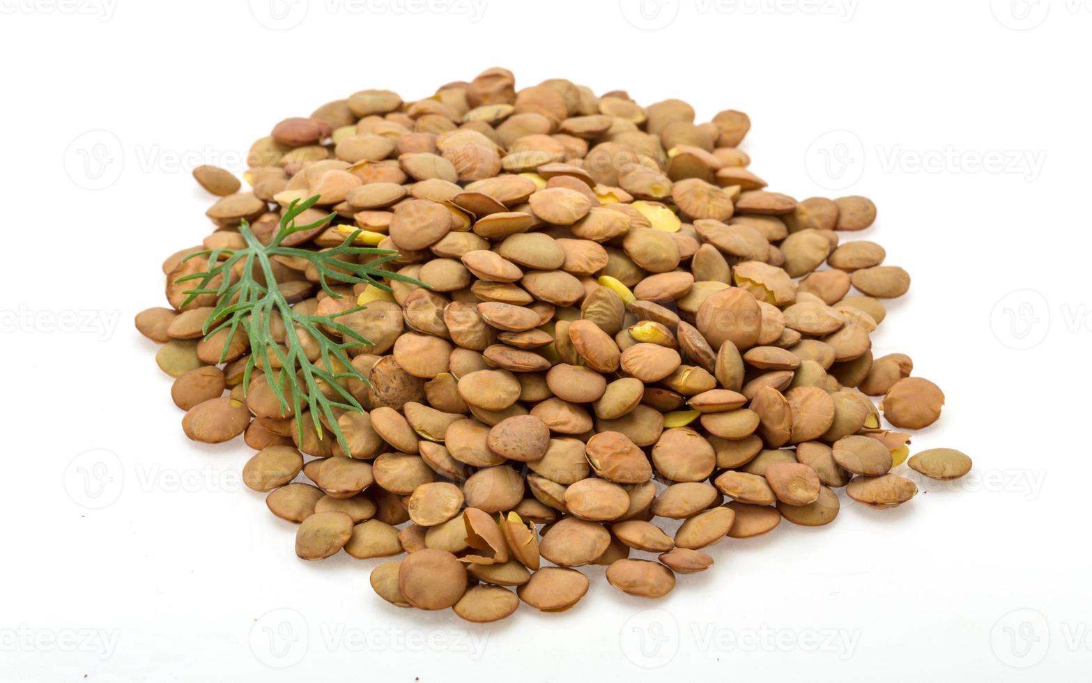 Raw lentils on white background photo