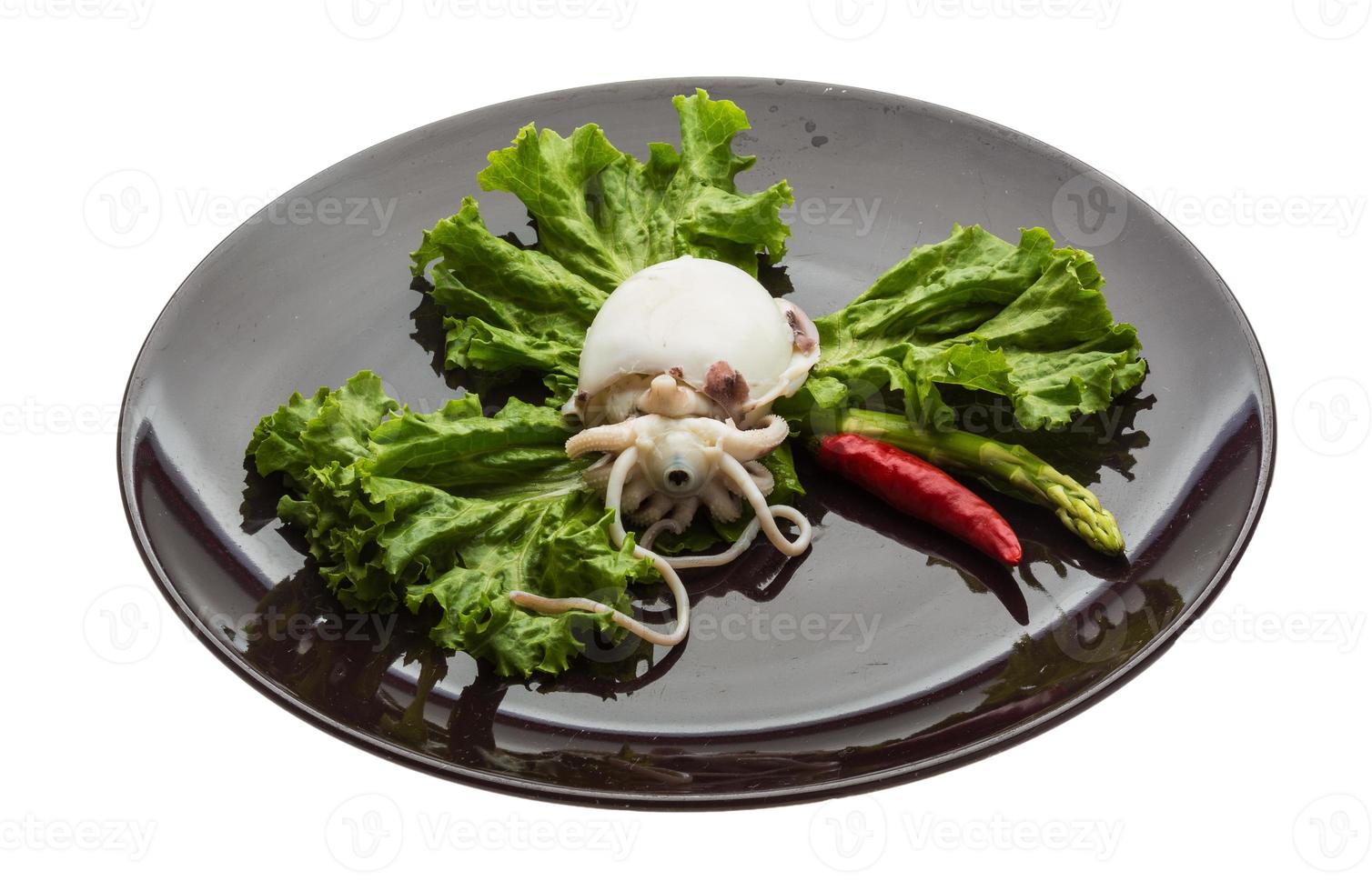 Boiled cuttlefish on the plate and white background photo