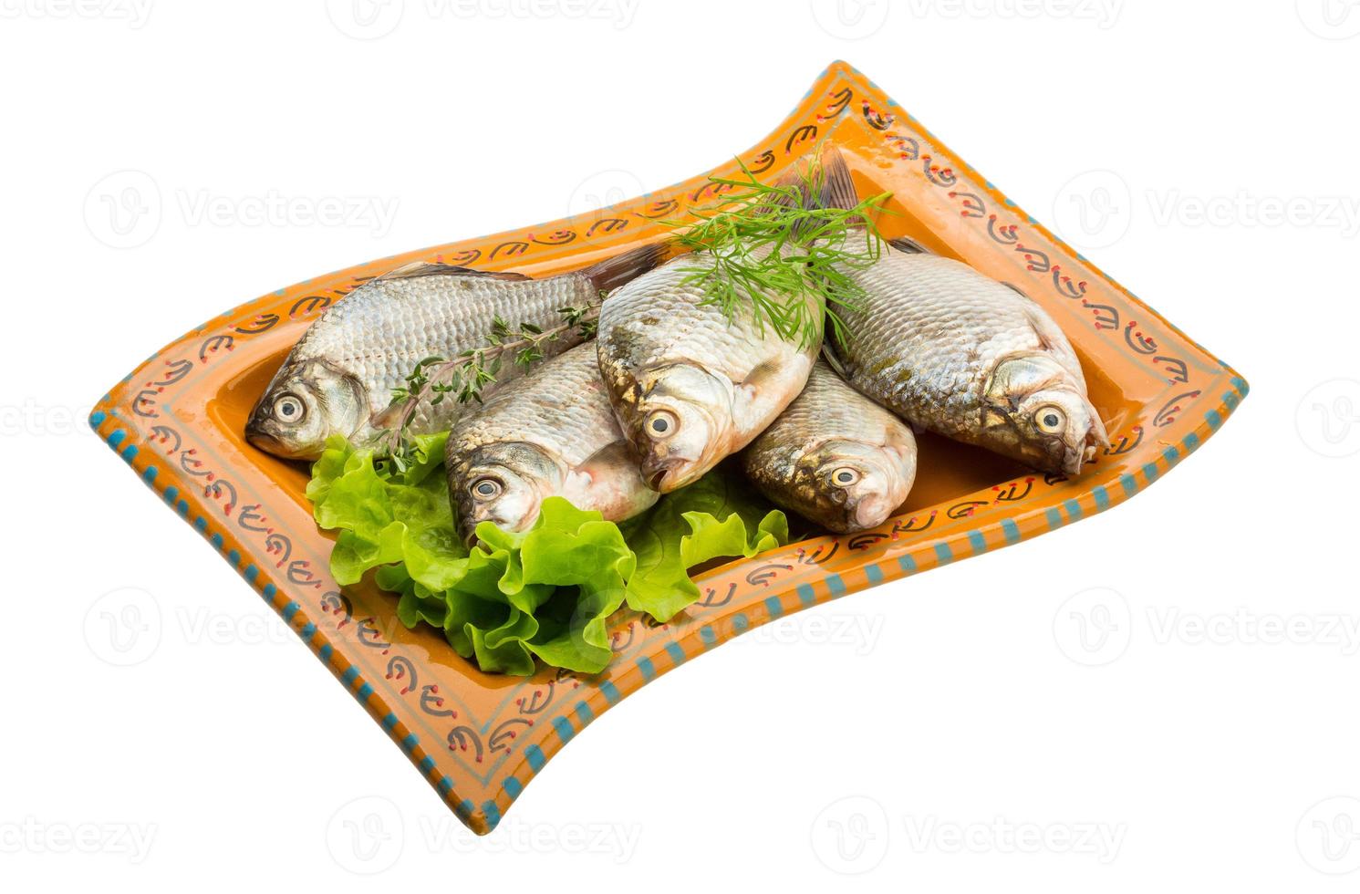 Crucian fish on the plate and white background photo
