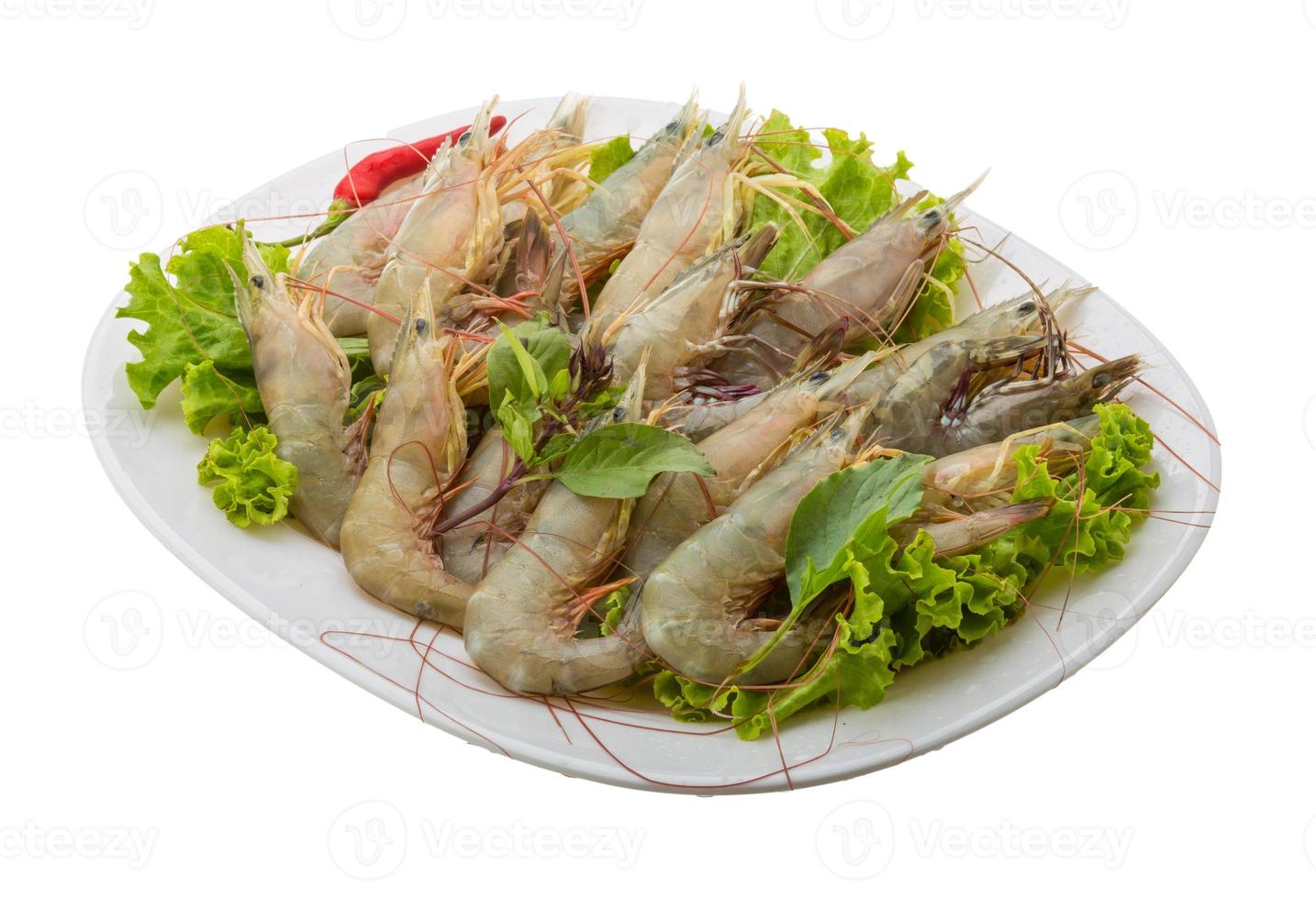 Raw tiger shrimps photo