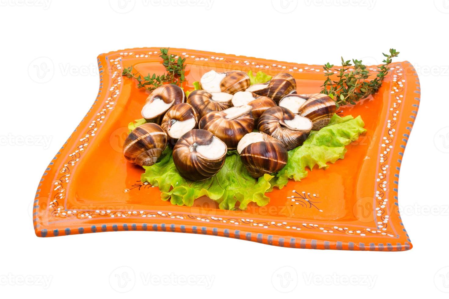 Escargot on the plate and white background photo
