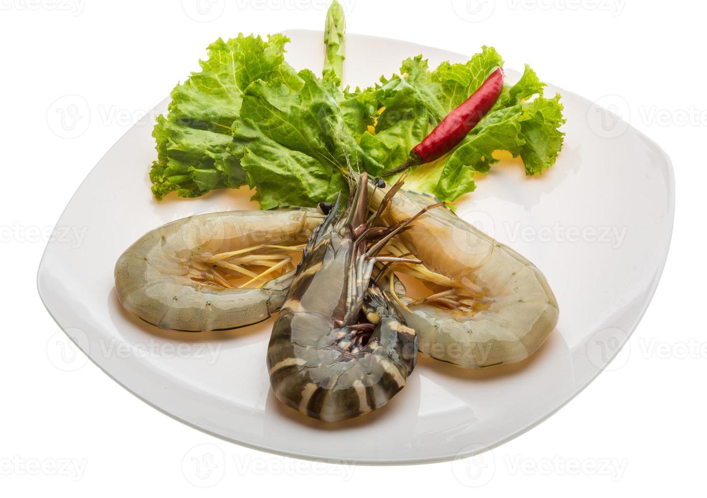 King and waterleg shrimps photo