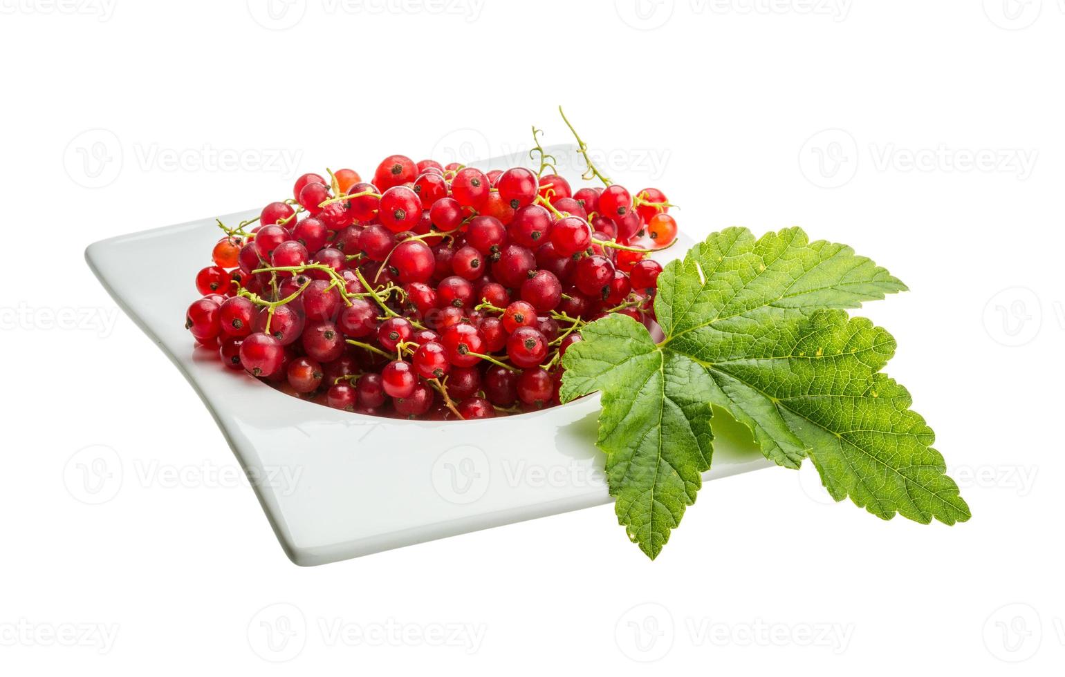 Red currant in a bowl on white background photo