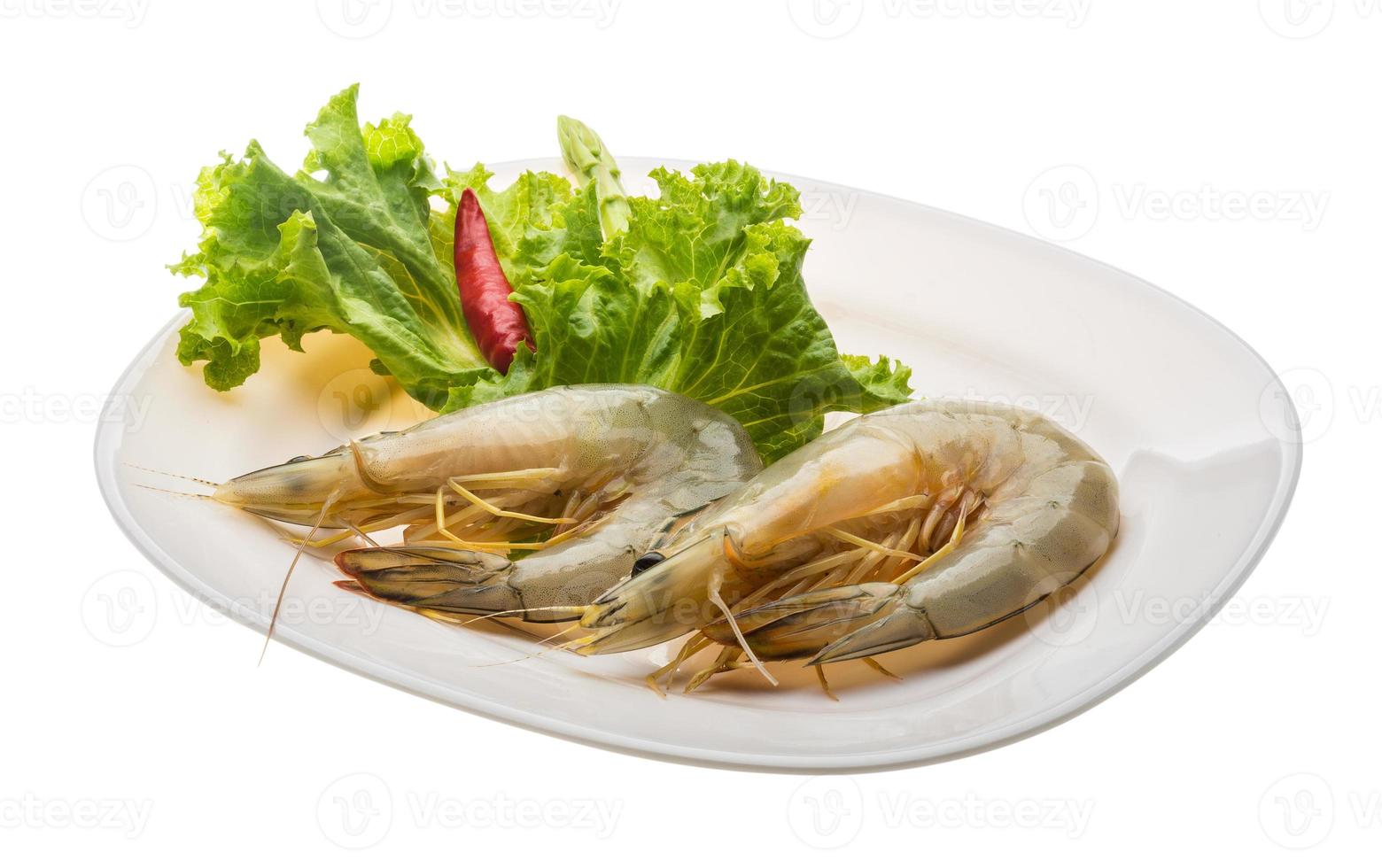 Tiger prawn on the plate and white background photo