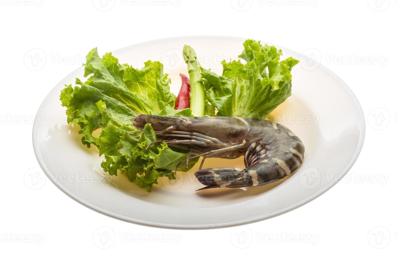 Tiger prawn on the plate and white background photo